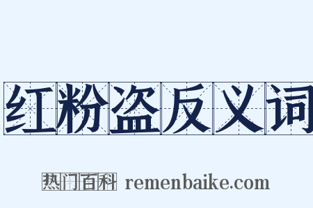红粉盗反义词是什么意思的图片